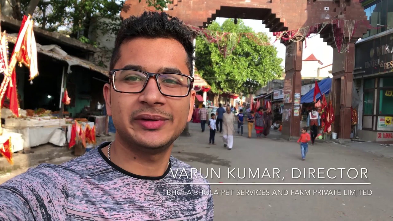 puppy paradise Bhola Shola Vlog 28.04.2018 - Mela Pilgrimage to Baba Balak Nath Ji