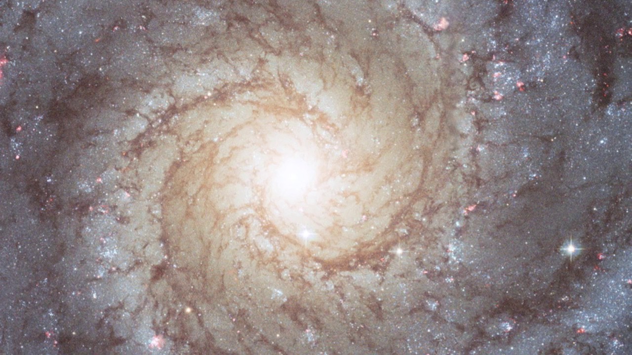 Übermal Symphonie for Strings - Lorenzo Fattambrini