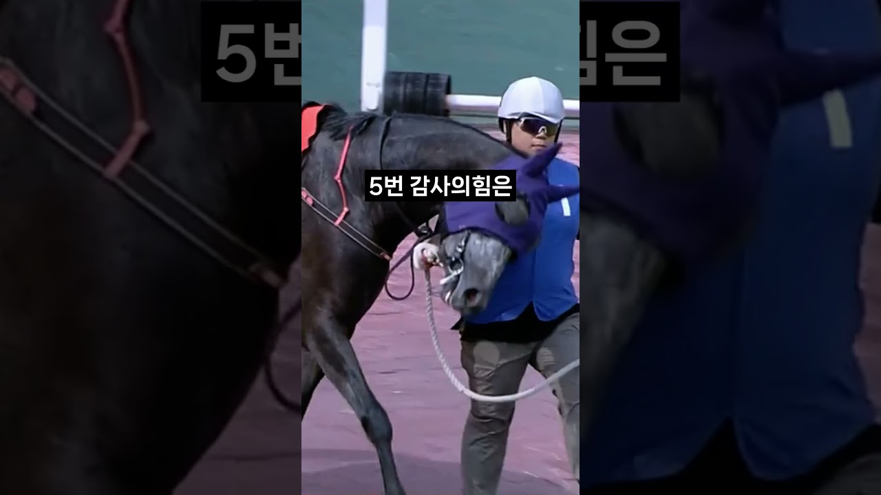 26.01.24 서울경마 08경주