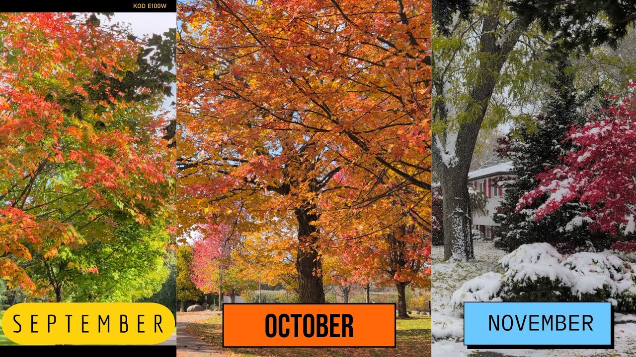 Meses Fall Fall/Autumn Season through the months - YouTube