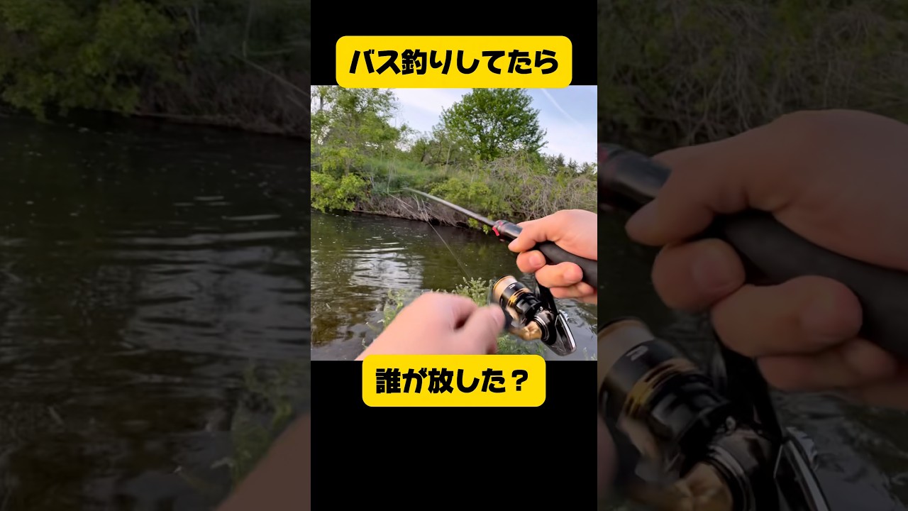 誰が放した？#バス釣り