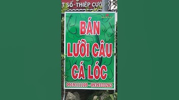 Bán Lưỡi Câu Cá Lóc Cá Chẻm, Lưỡi Câu Huỳnh Kiệt Cà Mau, ĐTZaloViber: 0919111169 - 0939333282