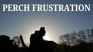 PERCH FRUSTRATION