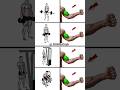 Top 4 Biceps Variations for Massive Arms 💪 | Grow Bigger Biceps Fast!