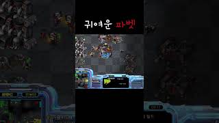 귀여운 파벳 #빨무 #게임 #스타크래프트 #gaming #gameplay