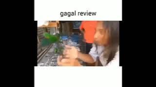 Review Gagal || kicau mania || status wa lucu || story wa lucu