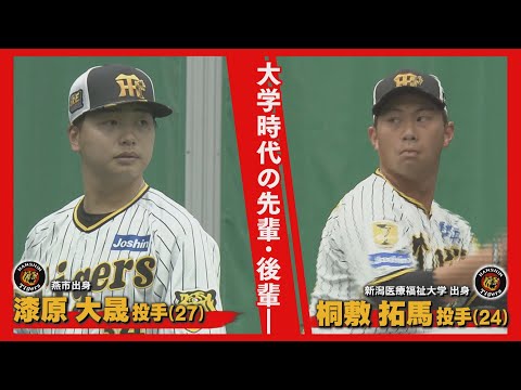 【プロ野球沖縄キャンプ】阪神「アレンパ」に貢献を！活躍誓う県勢投手【新潟】スーパーJにいがた2月19日OA