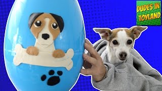 DOG with hands opening Play Doh Surprise Eggs! toys Uggly Pets Monster Jam puppies videos for kids