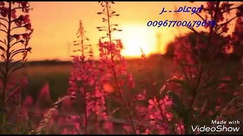 تلاوه روعه مع مناضر خلابه الشيخ عبدالكريم الخليدي من سوره فصلت