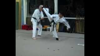 Howard Hu Taekwondo Sampler 2012