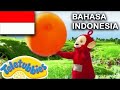 ★Teletubbies Bahasa Indonesia★ Tangkap Bolanya ★ Full Episode - HD | Kartun Lucu