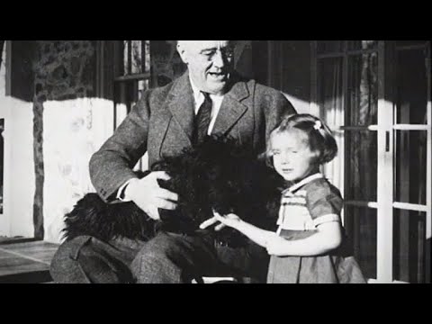 Реформы Франклина Рузвельта
