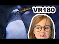 VR Penguins and Jellyfish, Aquarium Trip Part 2