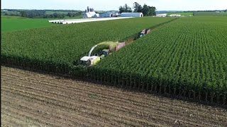Corn Silage is GO!! First day of corn harvest in Southwest Wisconsin. (16Hour Day as a Dairy Farmer)