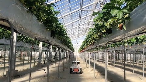 Greenhouse Navigation Robot