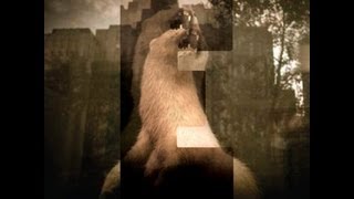 Equalibrum   The Glare Ep  Album