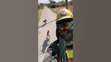 หมาไล่ ใจต้องนิ่ง !!! ช่างไฟฟ้า​  กับ​ น้องหมา​ ถถถ