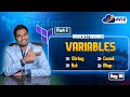 Day-10 TF Variables | Terraform Zero to Hero | Aviz Academy | Avinash Reddy Thipparthi