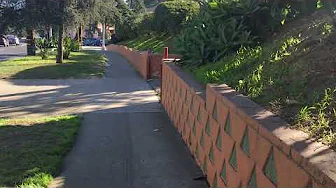 Walking the Los Feliz Neighborhood - Los Angeles 021322