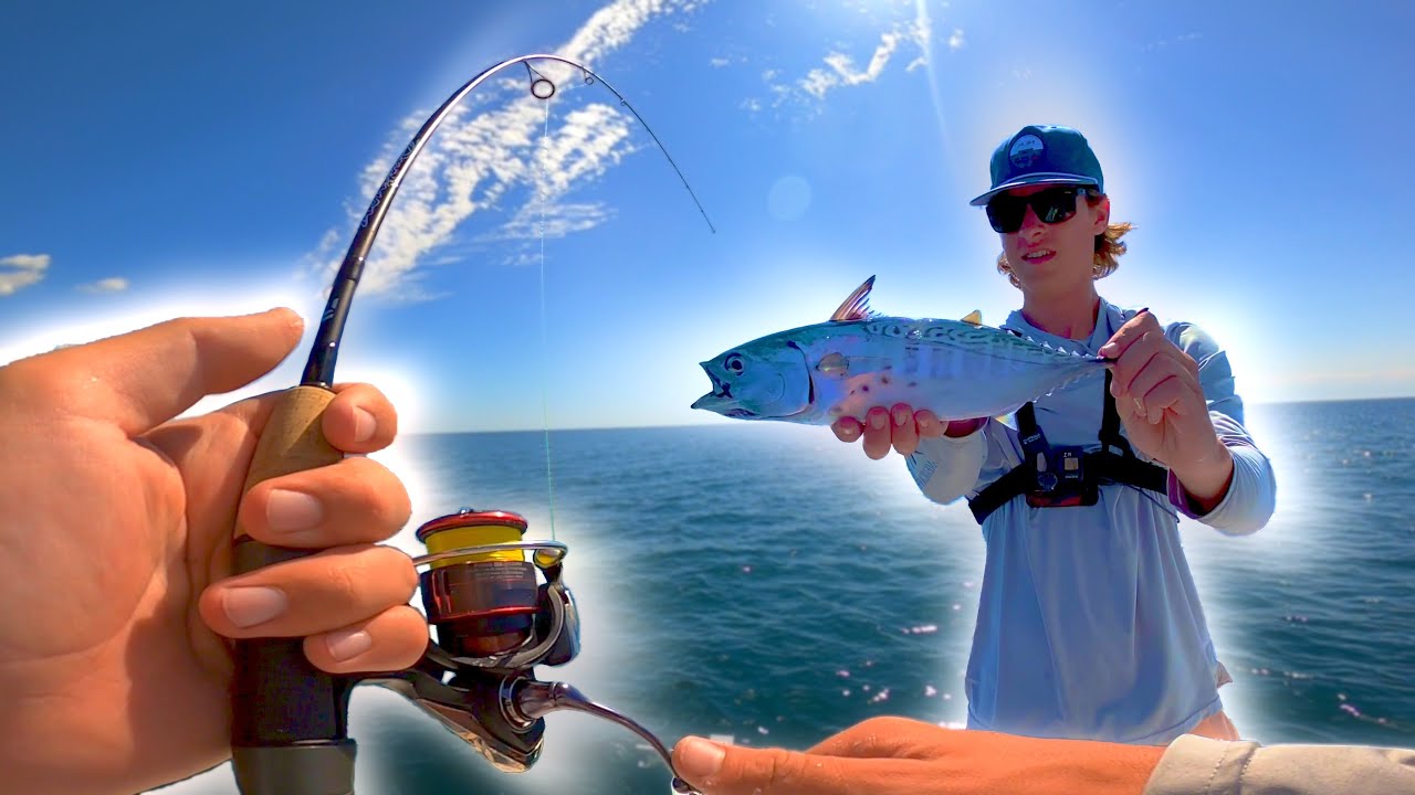 *INSANE* This LITTLE Fish puts up a HUGE Fight!!! (False Albacore on Light Tackle in North Carolina)