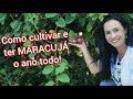 Como plantar e ter muitos maracujás. Sem pragas!