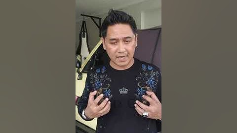 Panglima Langit (Hari ke-7 hilangnya Thoriq): Thoriq Dirasuki Makhluk Gaib Penunggu Gn. Piramid.