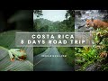 Costa rica 8 days road trip vlog  coffee farms sloths volcanoes and waterfalls