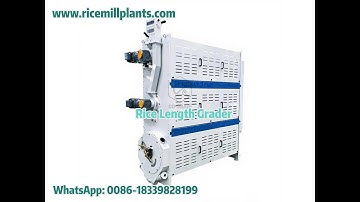Rice Length Grader | Rice Processing Machine for Rice Mill Plant #ricegrader #ricegradingmachine