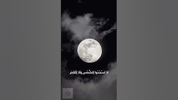 ومن اباته الليل والنهار والشمس والقمر القارئ بلال سيف