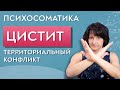 Цистит психосоматика. Территориальный конфликт.