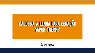 Caldeira a lenha para geração vapor Thermy