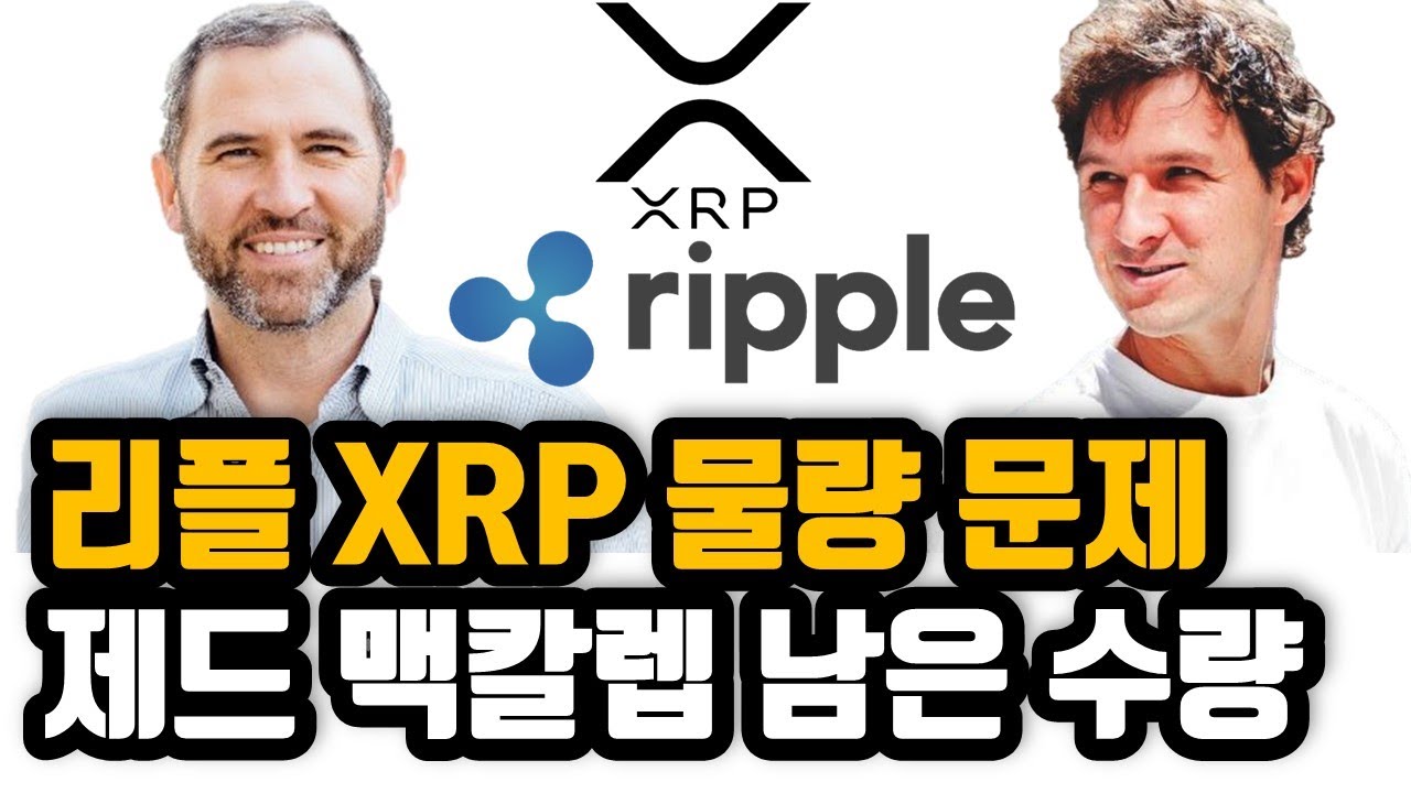 Update 리플 XRP - 전 CTO 제드 맥칼렙 남은 수량 정리