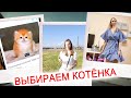 ВЛОГ: Лика и Милана ВЫБИРАЮТ КОТЕНКА! Купила новое платье