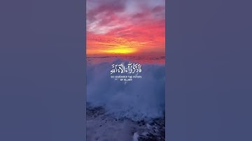 سورة الأعراف | القارئ رعد الكردي قرآن كريم حالات واتس اب دينية 📖