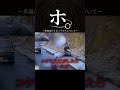 歩道走行するバイカスについて #shorts