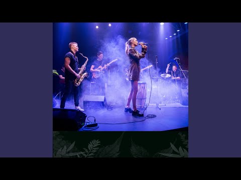 Meilei Nieko (Live