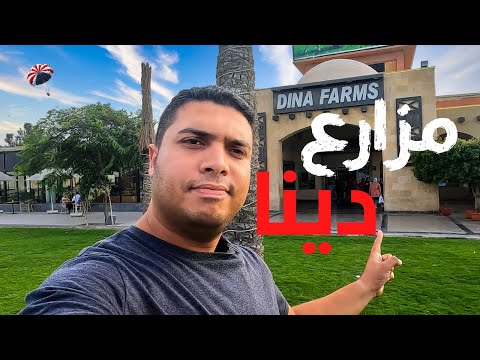 مزارع دينا مش مجرد ريست أول مطعم فطائر وماركت منتجات مزارع على طريق مصر إسكندرية الصحراوي