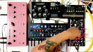 Stacked synths into Soma Cosmos - Microfreak, Dreadbox Typhon, Volca FM 2, MakeNoise Strega, Ambient