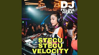 Stecu Stecu Velocity