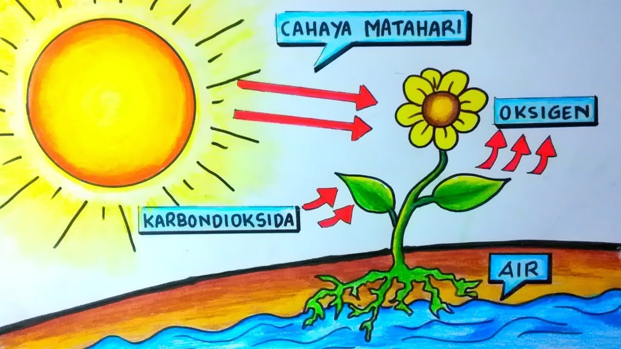 Manfaat matahari dengan media big book