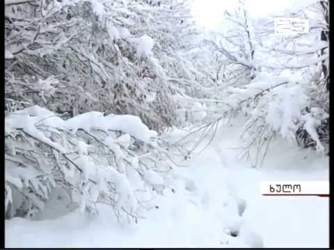 ხულოში თოვლის საფარმა 40 სმ-ს მიაღწია