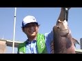 ちょい投げ&サビキ!ファミリーで波止釣りを楽しもう!/四季の釣り/2015年6月5日OA