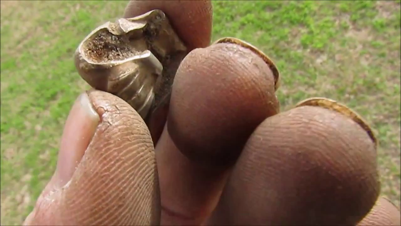 bottle digging sites Metal Detecting 1874 School House