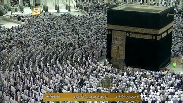 سورة الفجر فجر السبت 11-6-1440 فضيلة الشيخ أ.د. #سعود_الشريم