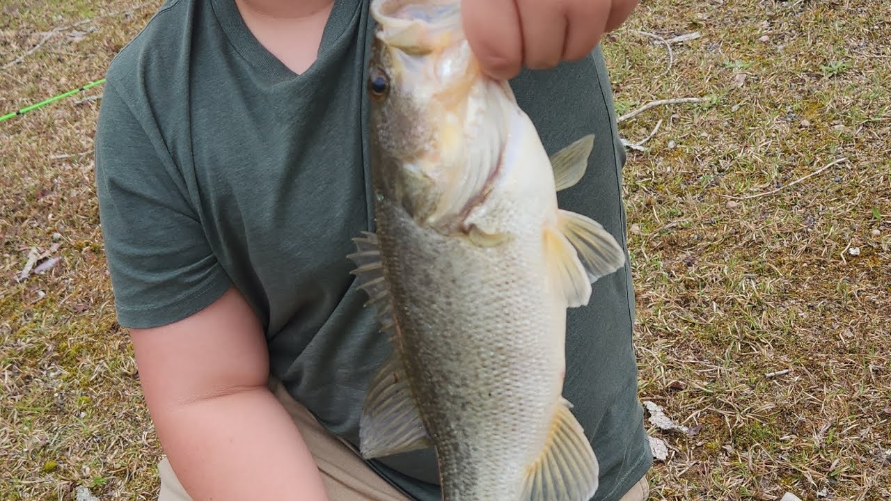 BASS FISHING WITH TOPWATERS IN PRIVATE POND ( TOPWATER BLOWUPS)