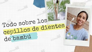 Cepillos De Dientes De Bambú Cómo Elegirlos, Descartarlos Y Mi Experiencia Usándolos