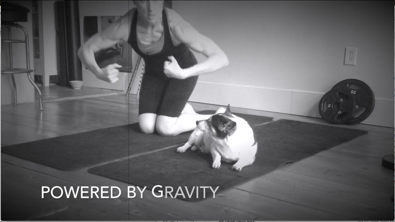 STPro Prehab: Essential Mobility for Servicemen, Firemen, Construction & Engineering