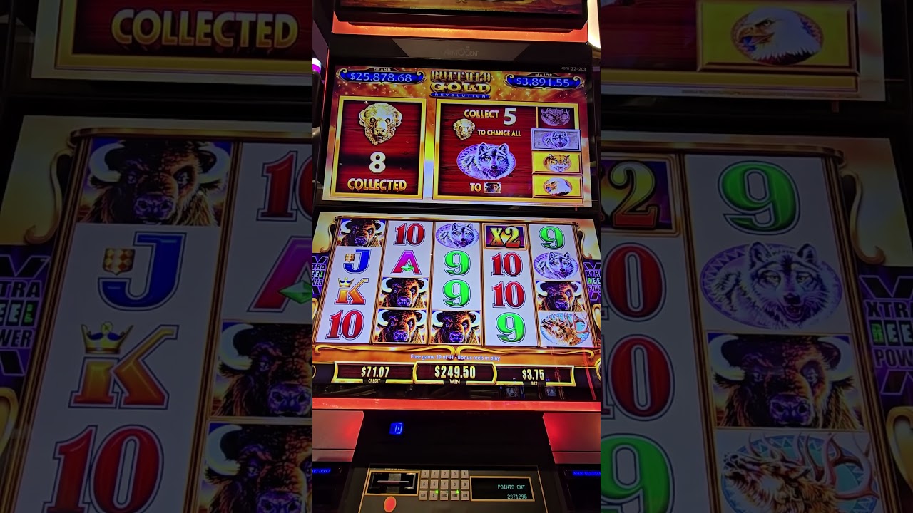 bongdalu fun4 HUGE BONUS On Buffalo Revolution! slots bigwin thegamblingchef