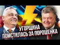 💣Скандал з Порошенком РОЗЛЮТИВ ОРБАНА! Накинулись аж на Зеленського - жорстка заява Угорщини