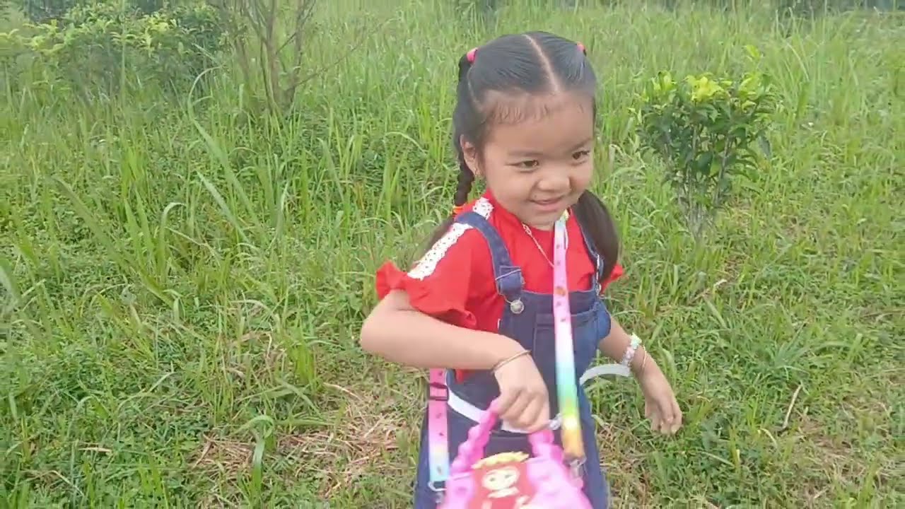  Arya Tea Estate 🍵 darjeelingtoytrain